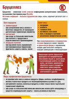 Профилактика бруцеллёза Профилактика бруцеллёза.
