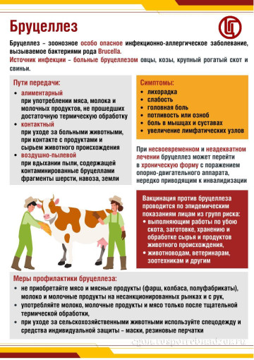 Профилактика бруцеллёза Профилактика бруцеллёза.